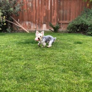 Meet your Posher, Desiree